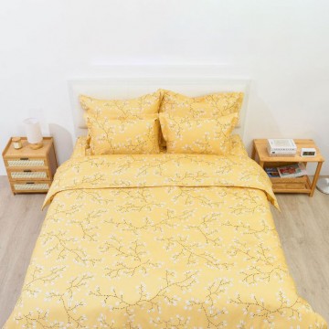 Bộ chăn ga gối Sông Hồng Basic cotton BC23076 