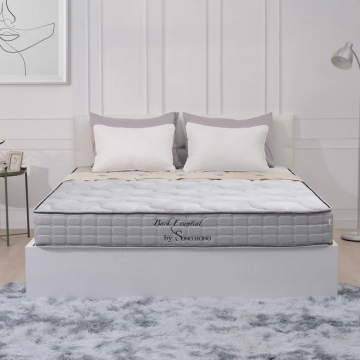 Đệm Sông Hồng Back Essential Thế Hệ 4